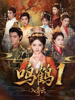 免费在线观看《入q云》