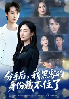 免费在线观看《分手后，我黑客的身份藏不住了》