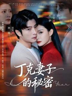 免费在线观看《丁克妻子的秘密》