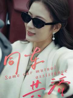 免费在线观看《同车共济》