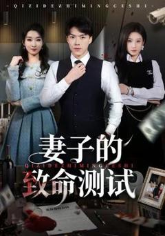 免费在线观看《妻子的致命测试》