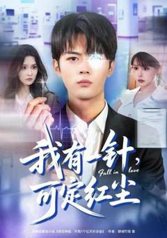 免费在线观看《我有一针，可定红尘》