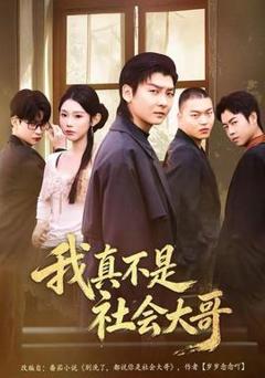 免费在线观看《我真不是社会大哥》