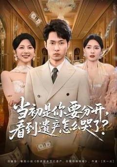 免费在线观看《当初是你要分开，看到遗产怎么哭了？》