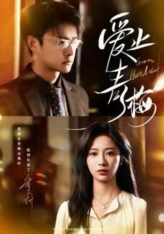 免费在线观看《爱止青梅》