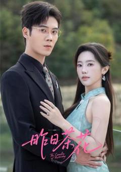 免费在线观看《昨日茶花》