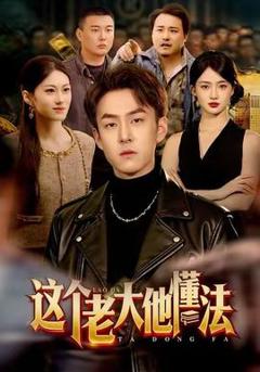 这个老大他懂法