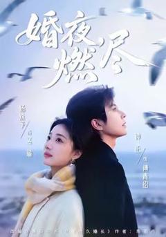 免费在线观看《婚夜，燃尽》