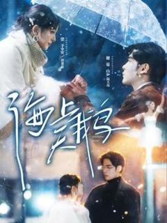 免费在线观看《海上天鹅》