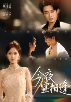 免费在线观看《今夜宜相逢》