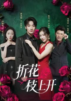 免费在线观看《折花枝上开》