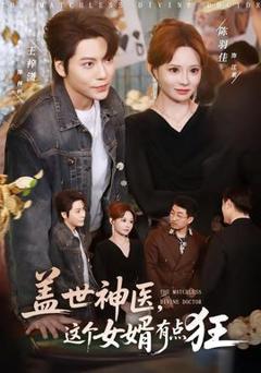 免费在线观看《盖世神医，这个女婿有点狂》