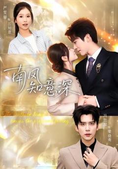 免费在线观看《南风知意深》