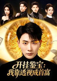 免费在线观看《开挂鉴宝：我靠透视成首富》