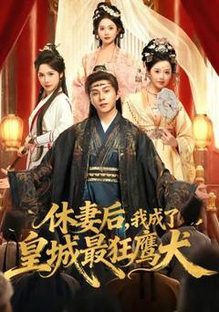 免费在线观看《休妻后，我成了皇城最狂鹰犬》