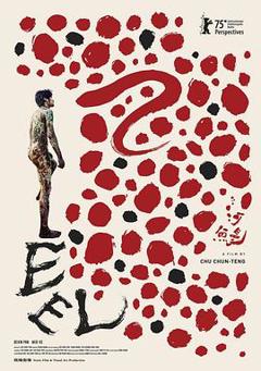 免费在线观看《河鰻》