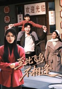 免费在线观看《到此飞鸟不相逢》