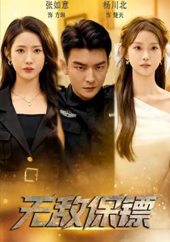 免费在线观看《无敌保镖》