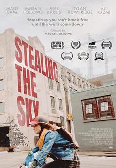 免费在线观看《窃取天空》