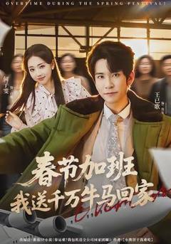 免费在线观看《春节加班，我送千万牛马回家》