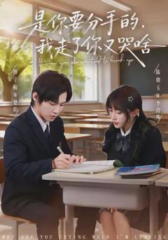 免费在线观看《是你要分手的，我走了你又哭啥》