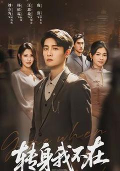 免费在线观看《转身我不在》