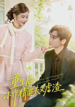 重生后，小撩精追夫又虐渣