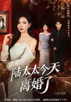 免费在线观看《陆太太今天离婚了》