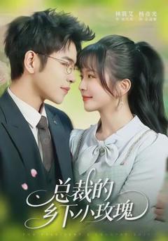 免费在线观看《总裁的乡下小玫瑰》