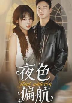 免费在线观看《夜色偏航》