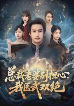免费在线观看《总裁老婆别担心，我医武双绝》