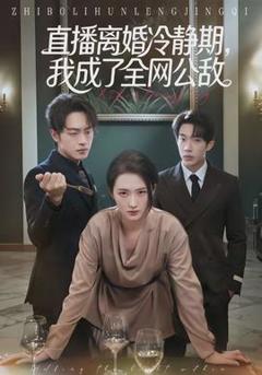 免费在线观看《直播离婚冷静期，我成了全网公敌》