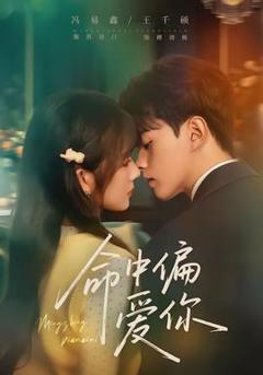免费在线观看《命中偏爱你》