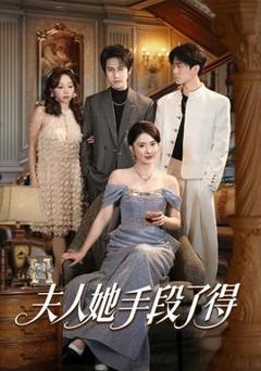 免费在线观看《夫人她手段了得》