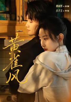 免费在线观看《黄雀风》
