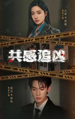 免费在线观看《共感追凶》