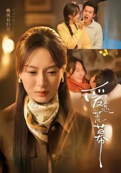 免费在线观看《爱意荒幕》