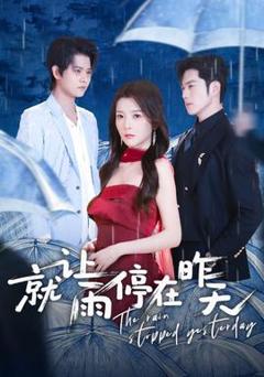 免费在线观看《就让雨停在昨天》