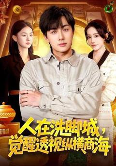 免费在线观看《人在洗脚城，觉醒透视纵横商海》