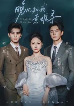 免费在线观看《晚风知我意难寻》