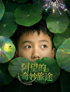 免费在线观看《阿望的奇妙旅途》