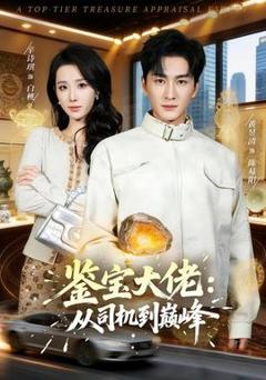 免费在线观看《鉴宝大佬： 从司机到巅峰》
