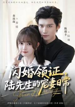 免费在线观看《闪婚领证，陆先生的宠妻日常》