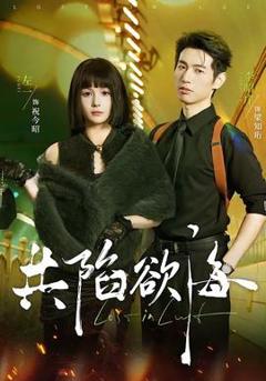 免费在线观看《共陷欲海》