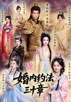 免费在线观看《婚内约法三十章》