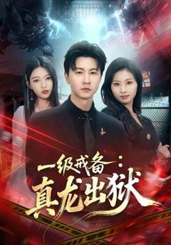 免费在线观看《一级戒备：真龙出狱》