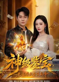 免费在线观看《神级鉴宝，老婆带我登顶巅峰》