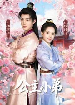 免费在线观看《公主小弟》