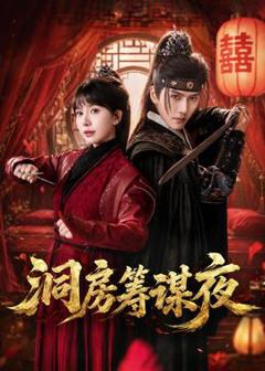 免费在线观看《洞房筹谋夜》