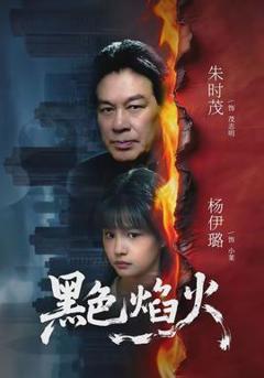 免费在线观看《黑色焰火》